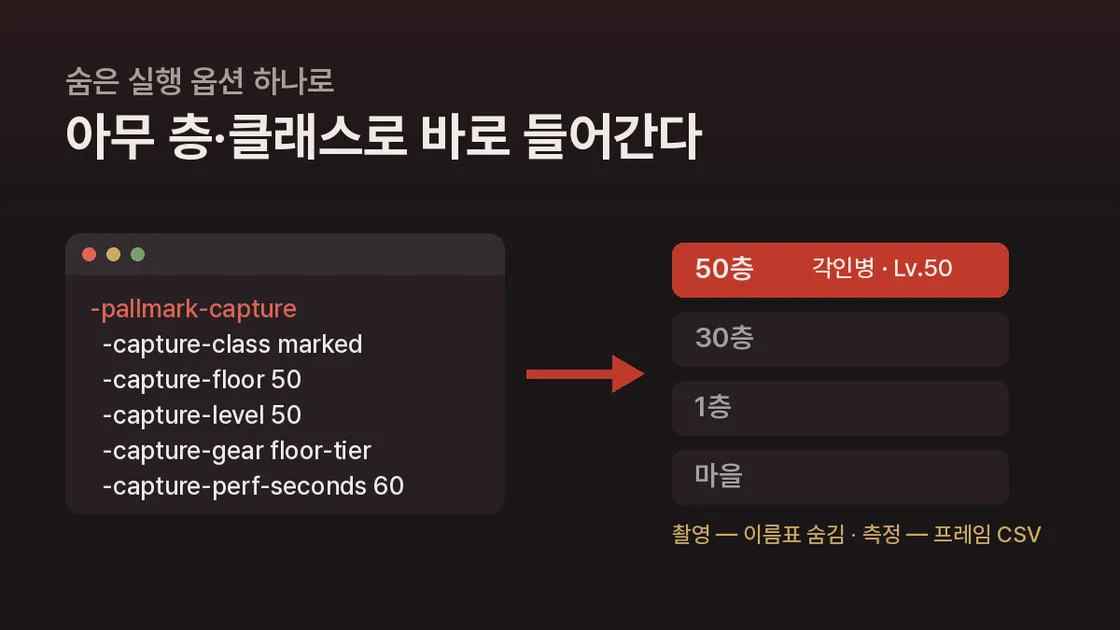 -pallmark-capture 실행 옵션으로 50층·각인병·레벨 50 상태로 바로 들어가는 흐름을 보여주는 도식
