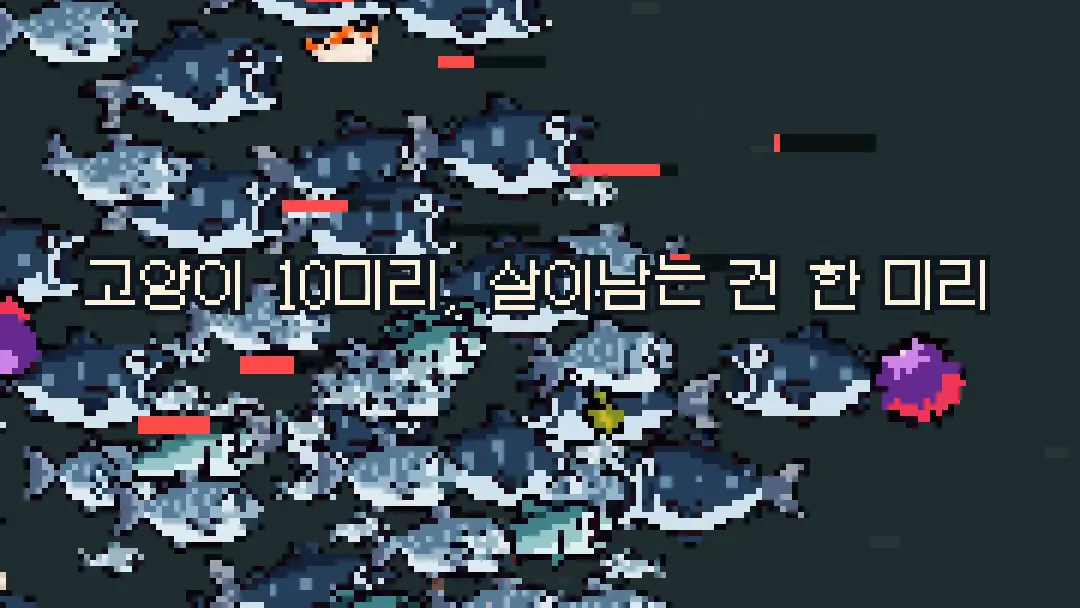 화면을 가득 메운 은청색 연어 떼 위에 고양이 10마리, 살아남는 건 한 마리 문구가 겹친 장면
